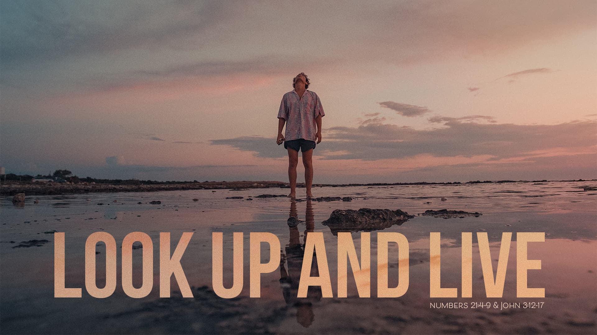 Look up and Live Pillar Church of Okinawa